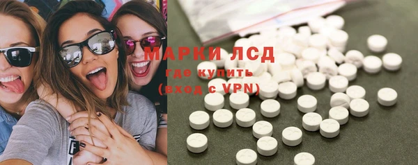 крисы Краснослободск