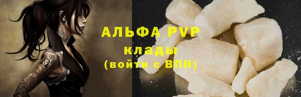 ECSTASY Лагань
