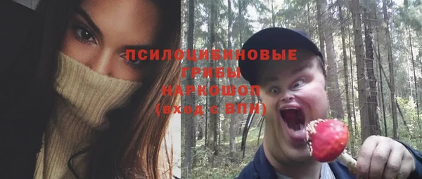 спайс Лабытнанги