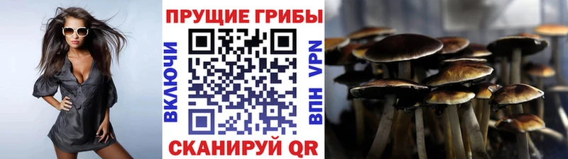 кракен ТОР  Кашира  Галлюциногенные грибы мухоморы 